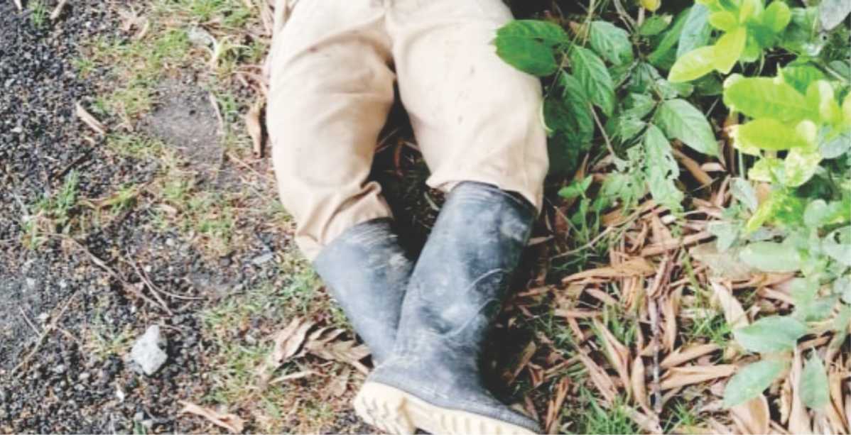 noticia-judicial-la-chiva-de-uraba