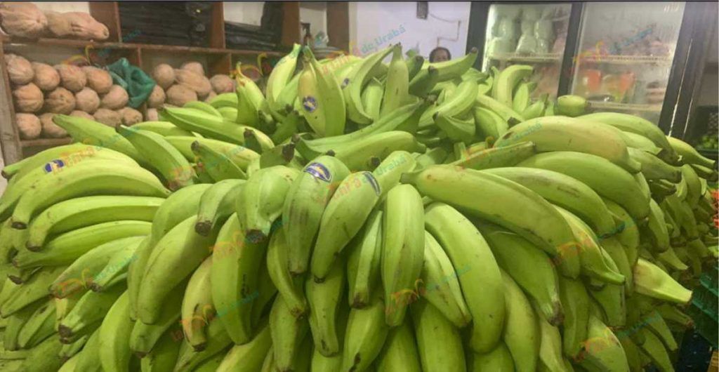 venta-platano-la-chiva-de-uraba