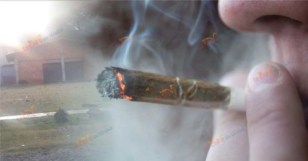 marihuana-la-chiva-de-uraa